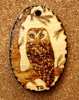 boreal owl tanja sova pyrogaphy